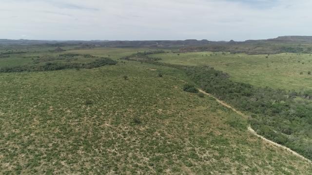 Fazenda Rio Bonito - Foto 9