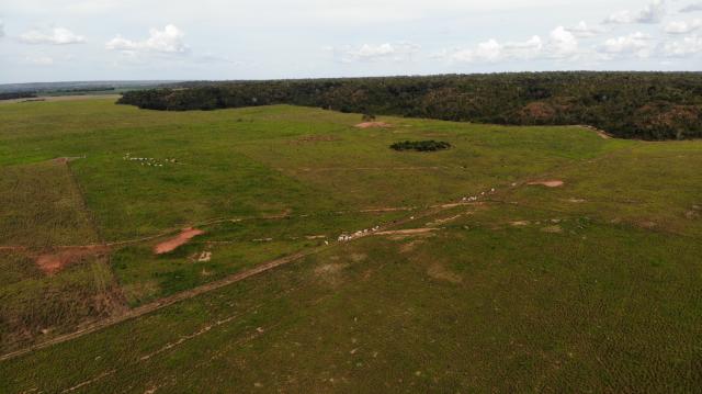 Fazenda Rio Bonito - Foto 20