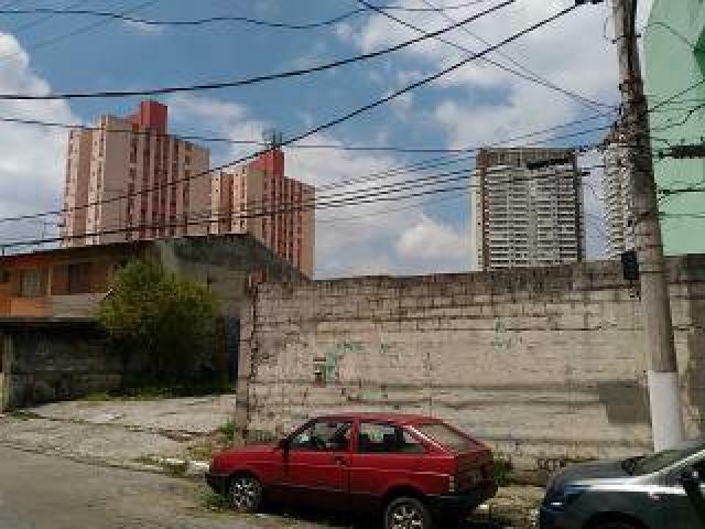 Terreno - Santo Amaro - Foto 2