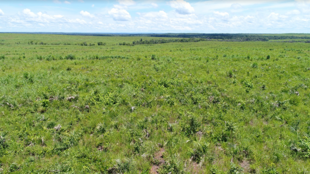 Fazenda São Patrício - Maranhão - Foto 4