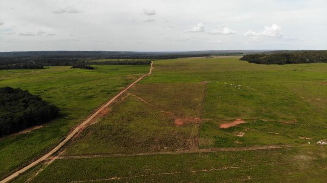 Fazenda Rio Bonito - Foto 19