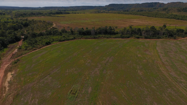Fazenda Dona Nina - Tocantins - Foto 4