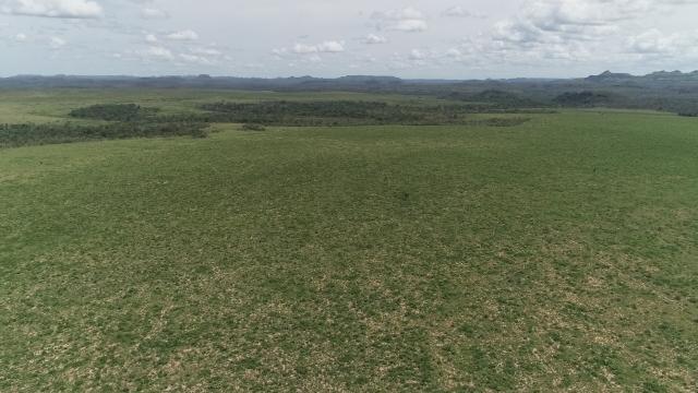 Fazenda Rio Bonito - Foto 10