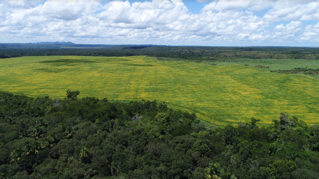 Fazenda São Patrício - Maranhão - Foto 5