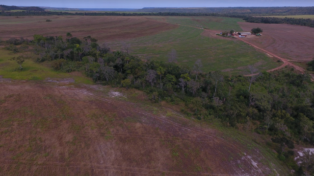 Fazenda Dona Nina - Tocantins - Foto 5