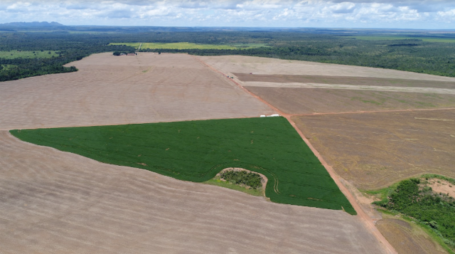 Fazenda São Patrício - Maranhão - Foto 2
