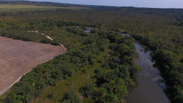 Fazenda Dona Nina - Tocantins