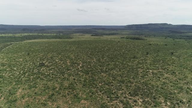 Fazenda Rio Bonito - Foto 8