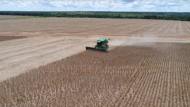 Fazenda São Patrício - Maranhão